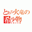 とある火竜の希少物（火竜の天鱗）