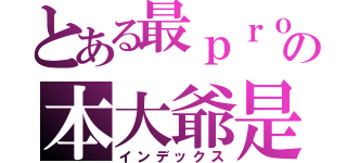 とある最ｐｒｏの本大爺是也（インデックス）