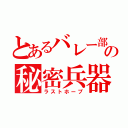 とあるバレー部の秘密兵器（ラストホープ）