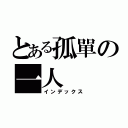 とある孤單の一人（インデックス）