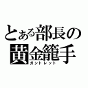 とある部長の黄金籠手（ガントレット）