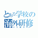 とある学校の海外研修（パリ旅行）