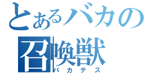 とあるバカの召喚獣（バカテス）