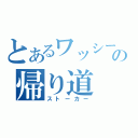 とあるワッシーの帰り道（ストーカー）