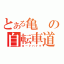 とある亀の自転車道（ロードバイク）