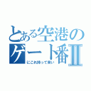 とある空港のゲート番号Ⅱ（にこれ持って来い）