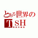 とある世界のＴＳＨ（特別作戦班）