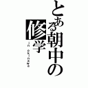 とある朝中の修学（ｉｎ ｏｋｉｎａｗａ）