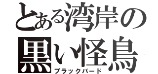 とある湾岸の黒い怪鳥（ブラックバード）