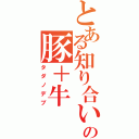 とある知り合いの豚＋牛（タダノデブ）