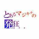 とあるマジキチの発狂（みずき）