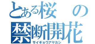 とある桜の禁断開花（サイギョウアヤカシ）