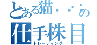 とある猫🐈‍⬛の仕手株目録（トレーディング）