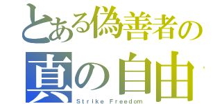 とある偽善者の真の自由（Ｓｔｒｉｋｅ Ｆｒｅｅｄｏｍ）