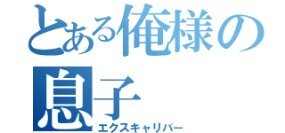 とある俺様の息子（エクスキャリバー）