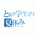 とある学生の夏休み（パラダイス）