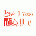 とある１７㎏の直心Ⅱｃ（ツーカーボン）