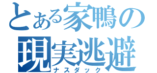 とある家鴨の現実逃避（ナスダック）