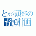 とある頭部の育毛計画（とみむら）