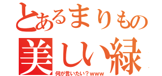 とあるまりもの美しい緑（何が言いたい？ｗｗｗ）