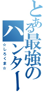 とある最強のハンター（☆しろくま☆）