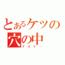 とあるケツの穴の中（ブスリ…）