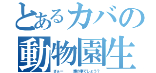 とあるカバの動物園生活（さぁー   誰の事でしょう？）