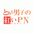 とある男子の紅いＰＮ（アカネコ）