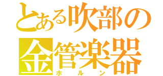 とある吹部の金管楽器（ホルン）