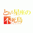 とある星座の不死鳥（フェニックス）