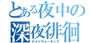 とある夜中の深夜徘徊（ナイトウォーキング）