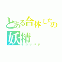 とある合体したネコとハチの妖精（ネコッパチ）