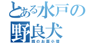 とある水戸の野良犬（豚のお面小僧）