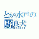 とある水戸の野良犬（豚のお面小僧）