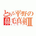 とある平野の鼻毛真剣Ⅱ（うっわ―）