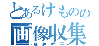 とあるけものの画像収集（金井祥平）