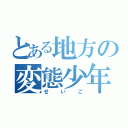 とある地方の変態少年（せいご）