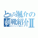 とある颯介の刺靴紹介Ⅱ（スパイク紹介）