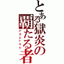 とある獄炎の覇たる者（アカムトルム）