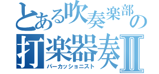 とある吹奏楽部の打楽器奏者Ⅱ（パーカッショニスト）