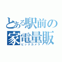 とある駅前の家電量販（ビックカメラ）