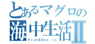 とあるマグロの海中生活Ⅱ（Ｆｉｓｈ＆Ｓｅａ ｉｎ）