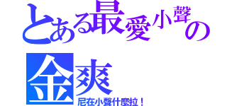 とある最愛小聲の金爽（尼在小聲什麼拉！）