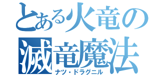 とある火竜の滅竜魔法（ナツ・ドラグニル）