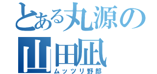 とある丸源の山田凪（ムッツリ野郎）