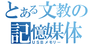 とある文教の記憶媒体（ＵＳＢメモリー）