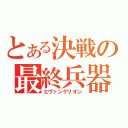 とある決戦の最終兵器（エヴァンゲリオン）