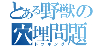 とある野獣の穴埋問題（ドッキング）