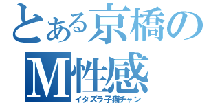 とある京橋のＭ性感（イタズラ子猫チャン）