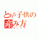 とある子供の産み方（セックス）